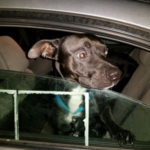 Meet your Posher, Labarron